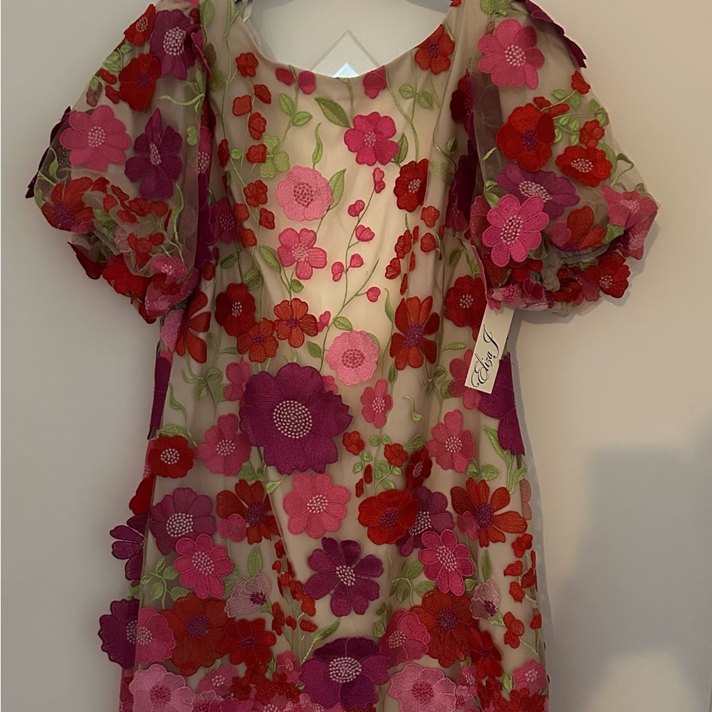 Eliza J Red and Pink Floral Embroidered Dress- Beautiful, above knee, never worn